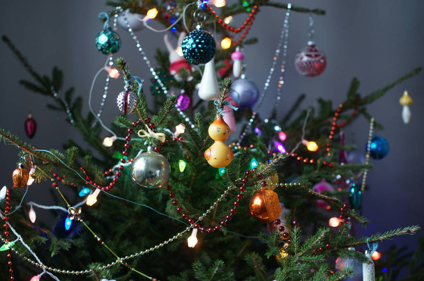 cute decorated fir trees with blue balls and garlands on room background - Foto, imagen