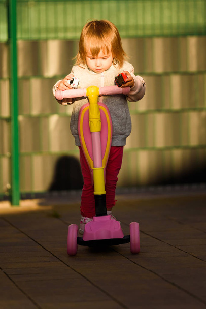 Little 2 years old girl riding a scooter in sunny day. - Foto, Bild