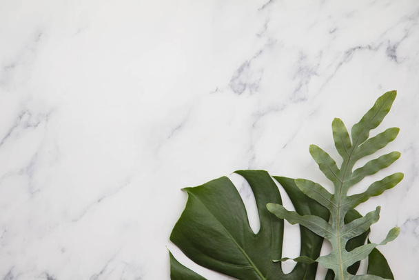 Topical jungle leaves on a modern marble background - Foto, imagen