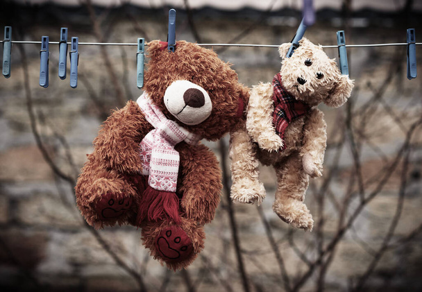 cute brown wet teddy bears hanging on a clothesline and drying  - Fotoğraf, Görsel