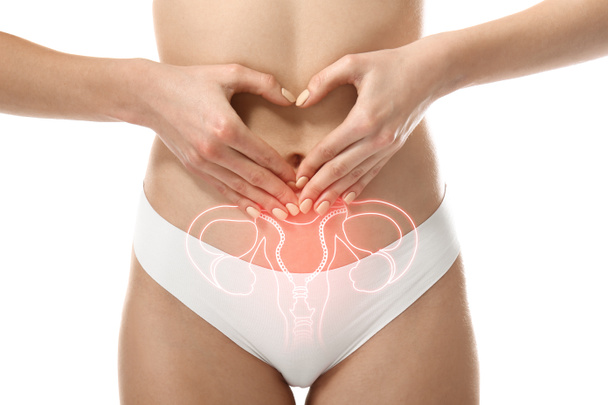 Young woman with drawing of reproductive system on white background, closeup. Gynecology concept - Photo, Image