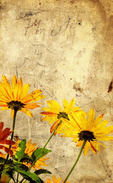 Grunge background with flowers - Fotografie, Obrázek