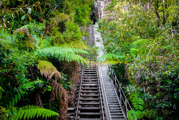 Krásná džungle malebná železnice v národním parku Blue Mountain - Fotografie, Obrázek
