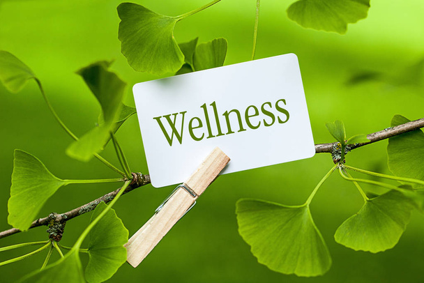 SPA and wellness, aromatherapy - Foto, Imagem