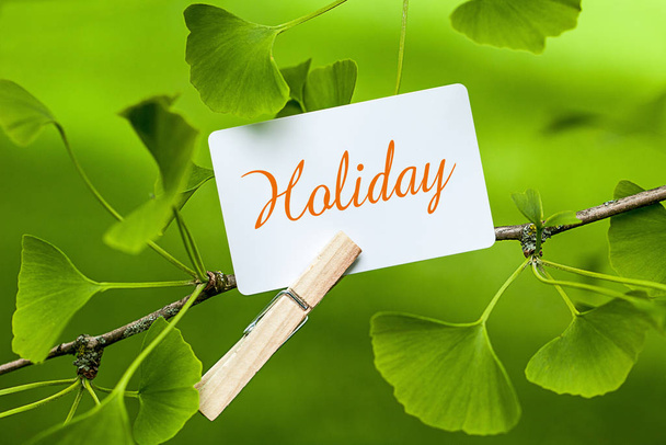 greeting card with a green leaf and a flower on the background of the tree - Foto, afbeelding
