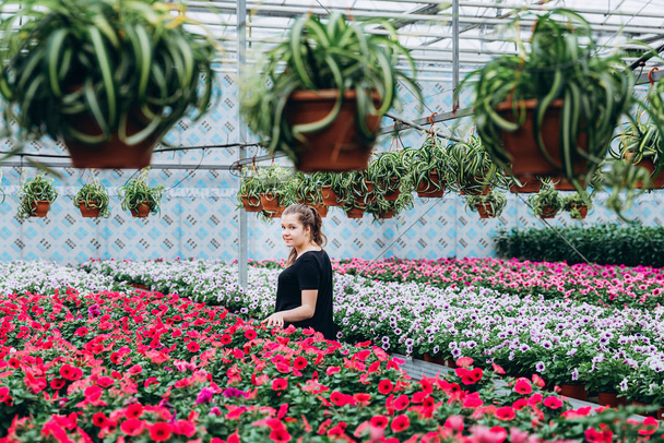 young beautiful long-haired girl in a greenhouse with colorful flowers petunias in spring - Fotó, kép
