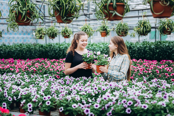 Duas belas meninas eslovenas em uma estufa discutindo mudas de flores coloridas. Compras, jardinagem. Ecologia
 - Foto, Imagem