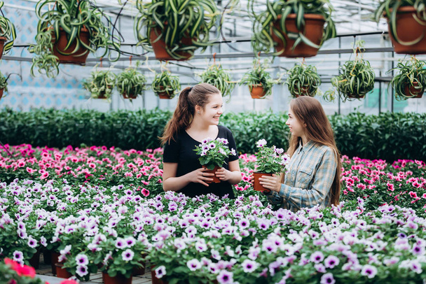 Two beautiful Slovenian girls in a greenhouse discussing seedlings of colorful flowers. Shopping, gardening. Ecology - Photo, Image