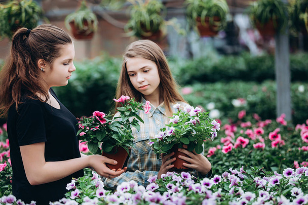 Two beautiful Slovenian girls in a greenhouse discussing seedlings of colorful flowers. Shopping, gardening. Ecology - Valokuva, kuva