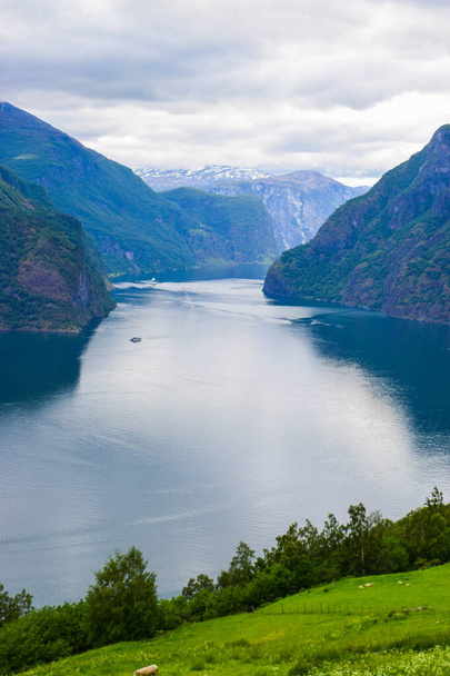 The landscape of Aurlandsfjord in Norway. - Fotoğraf, Görsel
