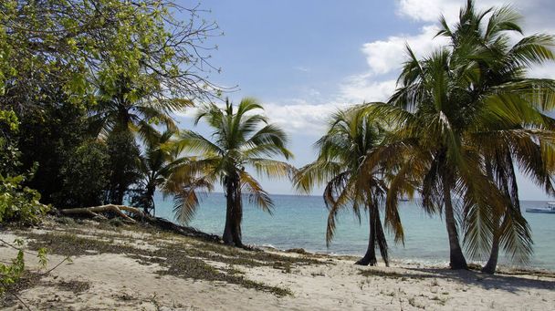 Beautiful tropical beach landscape  - Valokuva, kuva