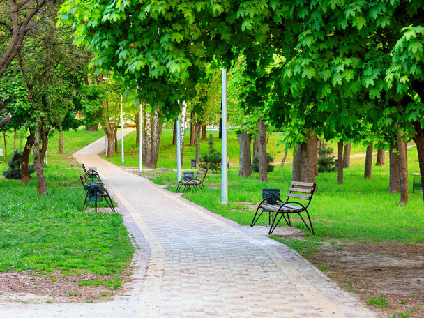 Деревянные скамейки в живописном городском летнем парке стоят вдоль мощеной дорожки
. - Фото, изображение