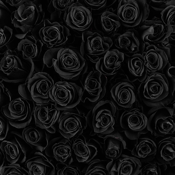 Beautiful black roses. floral background - Foto, afbeelding