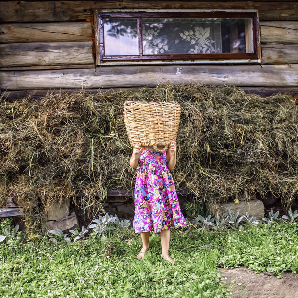 Mała dziewczynka pomaga w prowadzeniu zbiorów na farmie w lecie, youn - Zdjęcie, obraz