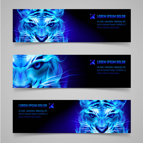 Set of banners with mystic tiger in blue flame - Photo, image