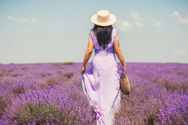 Woman on the lavender field. Woman in blue dress and  white hat  back view. Goes on lavender rows. girl in blue dress and white hat is standing in the lavender field. Soft focus - 写真・画像