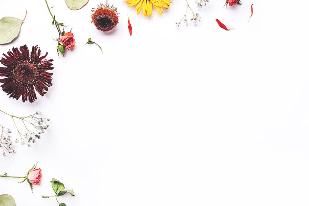 Frame of dry flowers on white background. - Foto, imagen