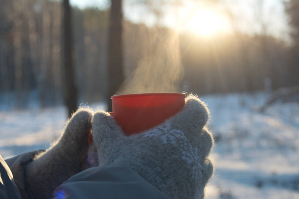 mug with hot drink in hands dressed in knitted wool mittens in winter on a Sunny frosty day, winter picnic, winter mood - Foto, imagen