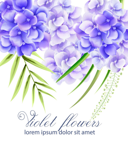 Watercolor vibrant violet flowers with green leaves - Вектор,изображение