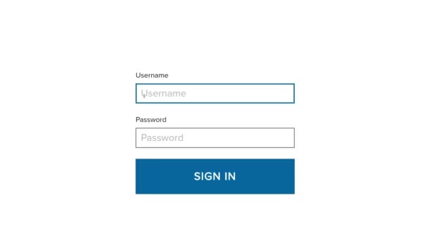 Computerscherm van een website met gebruikersnaam en wachtwoord login - Video