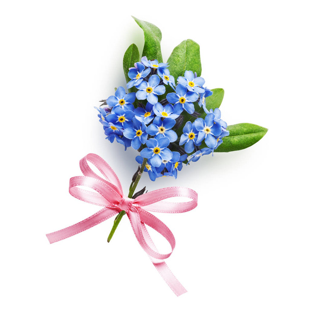 Bunch of small blue forget me not flowers with pink bow ribbon isolated on white background - Foto, Imagen