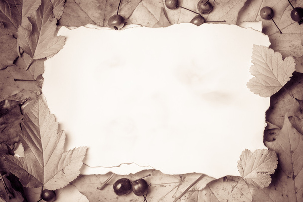 Paper on autumn leaves - Фото, изображение