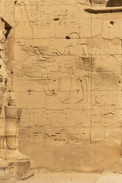 Świątynia Karnak, kompleks Amon-Re. Wytłaczane hieroglify na ścianach. Luxor Governorate w Egipcie. Min jest starożytnym egipskim bogiem..  - Zdjęcie, obraz