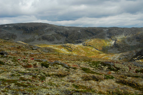 Norway on nature landscape background - Foto, Imagen