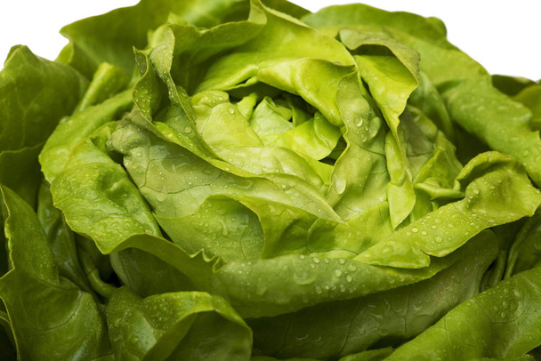 closeup view of fresh tasty salad  - Фото, изображение