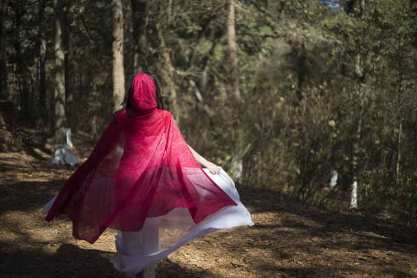 girl walking in the middle of the forest with a beautiful white dress and a red cape - woman with little red riding hood costume - Photo, Image