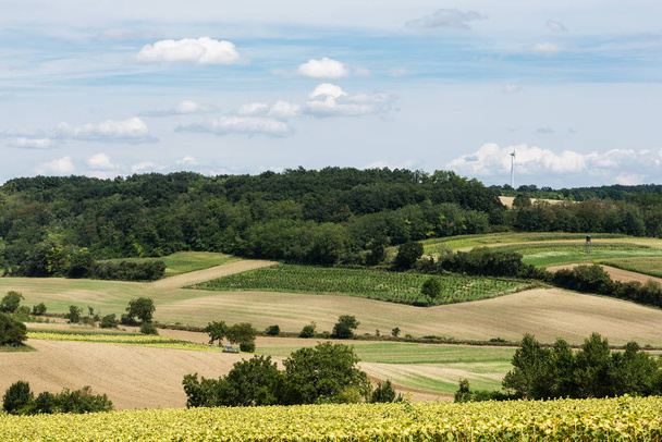 agricultural landscape,different fields for cultivation - Zdjęcie, obraz