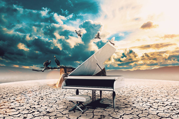 Piano in nature. - Photo, Image
