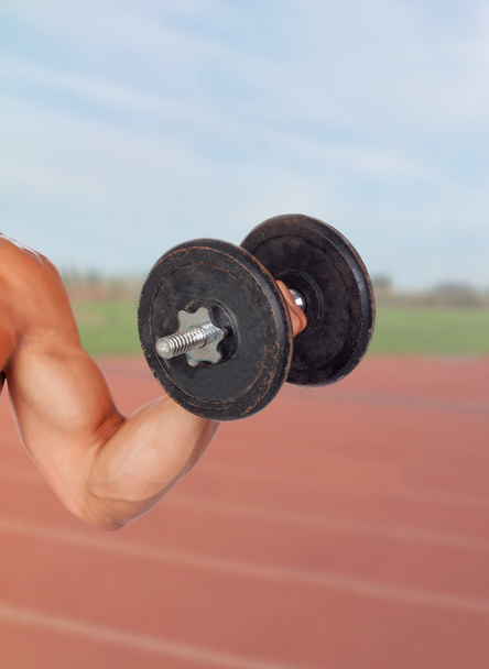 Мышцы для поднятия тяжестей
 - Фото, изображение