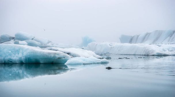 white frozen iceberg, ice and cold - Фото, зображення