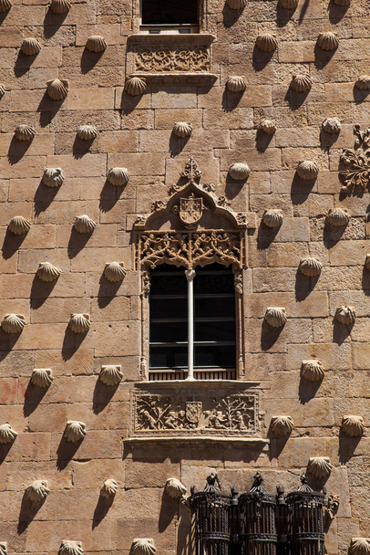 Részlet az ablakok a történelmi House of the Shells épült 1517-ben Salamanca, Spanyolország - Fotó, kép