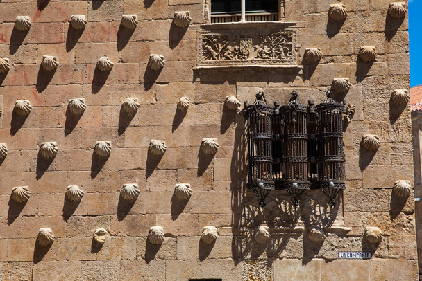 Yksityiskohta ikkunat historiallisen House of kuoret rakennettu vuonna 1517 Salamanca, Espanja
 - Valokuva, kuva