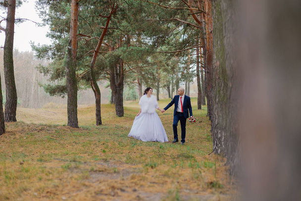 Happy bride and groom walk through the woods in autumn holding hands. - Photo, image