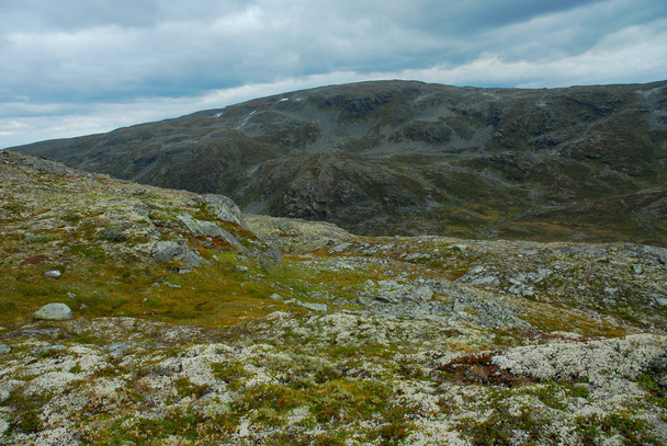 Norway on nature landscape background - Foto, Imagen