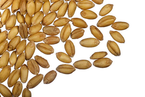 organic white wheat kernels isolated on white background - Foto, imagen