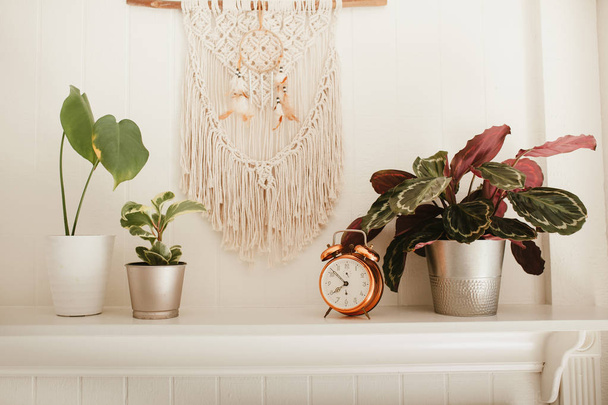 Przytulny nowoczesny kominek z roślinami i makramy - Zdjęcie, obraz