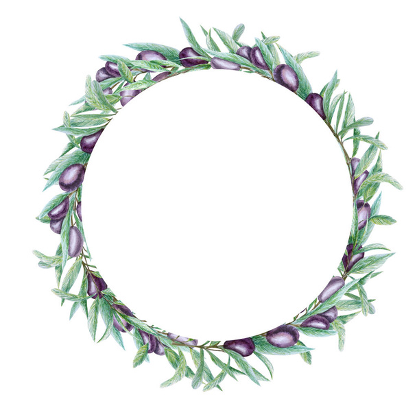 Watercolor black olive tree branch leaves wreath, Realistic olives illustration on white background, Hand painted Frame. Isolated Border design for invitations, poster, greeting card, label concept. - Foto, Imagem