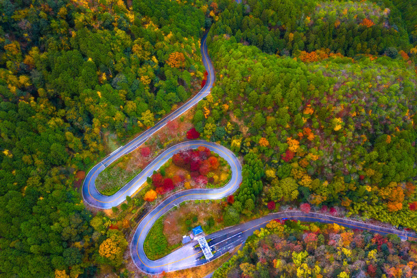 Górny widok z lotu ptaka krzywa drogi dekoracje jesienią sezon zmiana, góry z jesienią sezon zmiana na wsi w Japonii - Zdjęcie, obraz