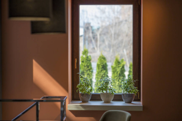 現代的なスタイルで窓辺の植物とカフェのインテリア - 写真・画像