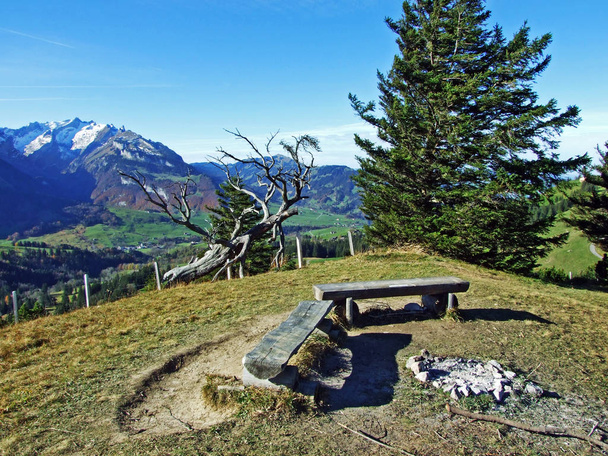 Forêts mixtes et arbres sur la chaîne de montagnes Alpstein et dans la vallée du Rhin (Rheintal), Oberriet SG - Canton de Saint-Gall, Suisse
 - Photo, image