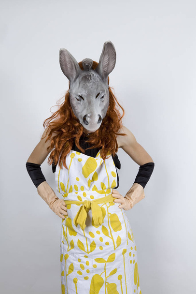Donkey housewife wearing an apron over an evening dress and evening gloves and rubber gloves - Fotó, kép