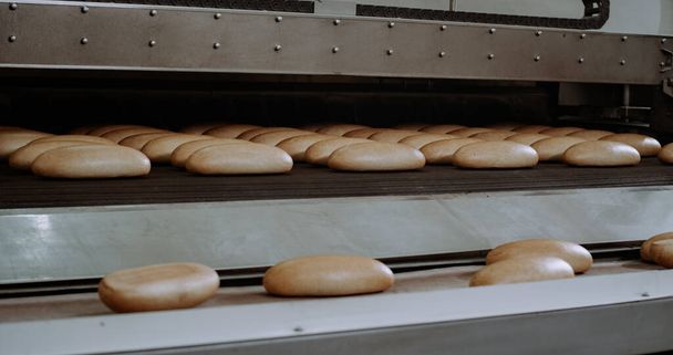 Bread bakery food factory production with fresh products prepare to move on in the shelf - Photo, Image