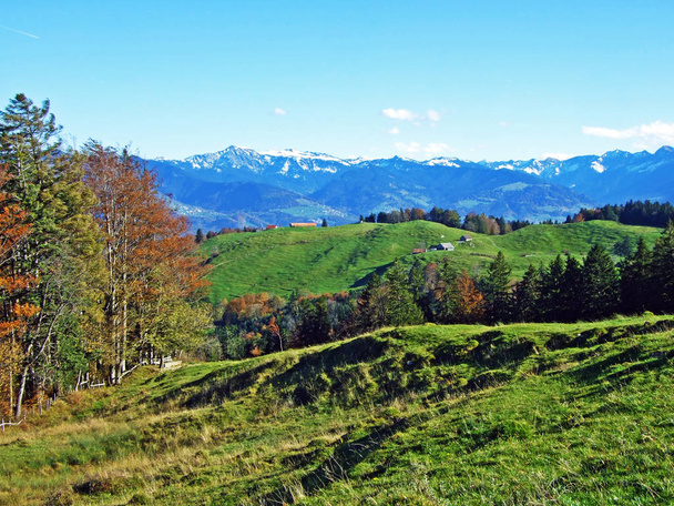 Alpages et prairies alpines sur les flancs du massif alpin d'Alpstein et dans la vallée du Rhin (Rheintal), Oberriet SG - Canton de Saint-Gall, Suisse
 - Photo, image
