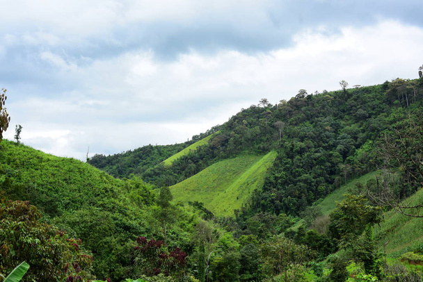 Πράσινο ορεινό τοπίο στην Ταϊλάνδη - Φωτογραφία, εικόνα