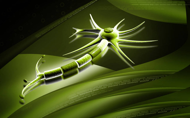Digital illustration of  neuron  in colour  background 	 - Φωτογραφία, εικόνα