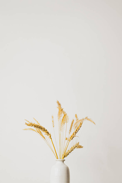 Spikelets or wheat in a vase - Фото, зображення